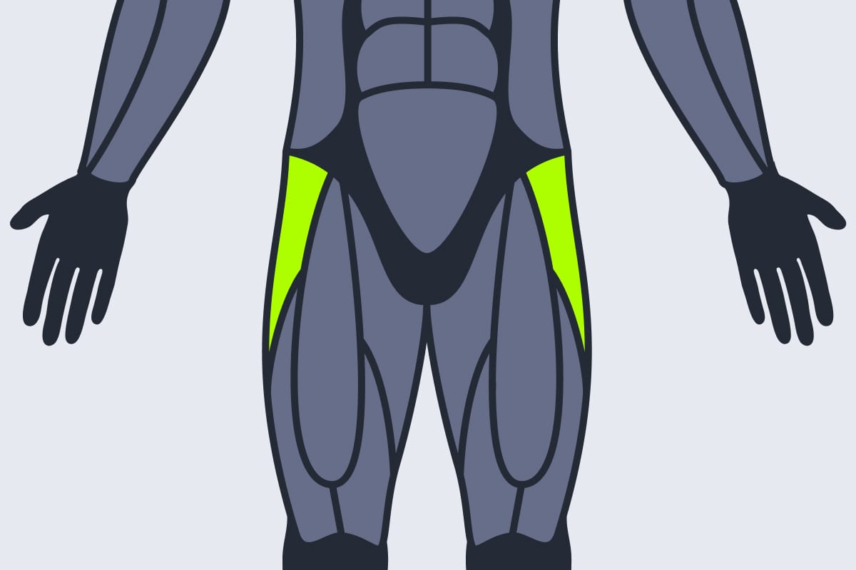 Abductors