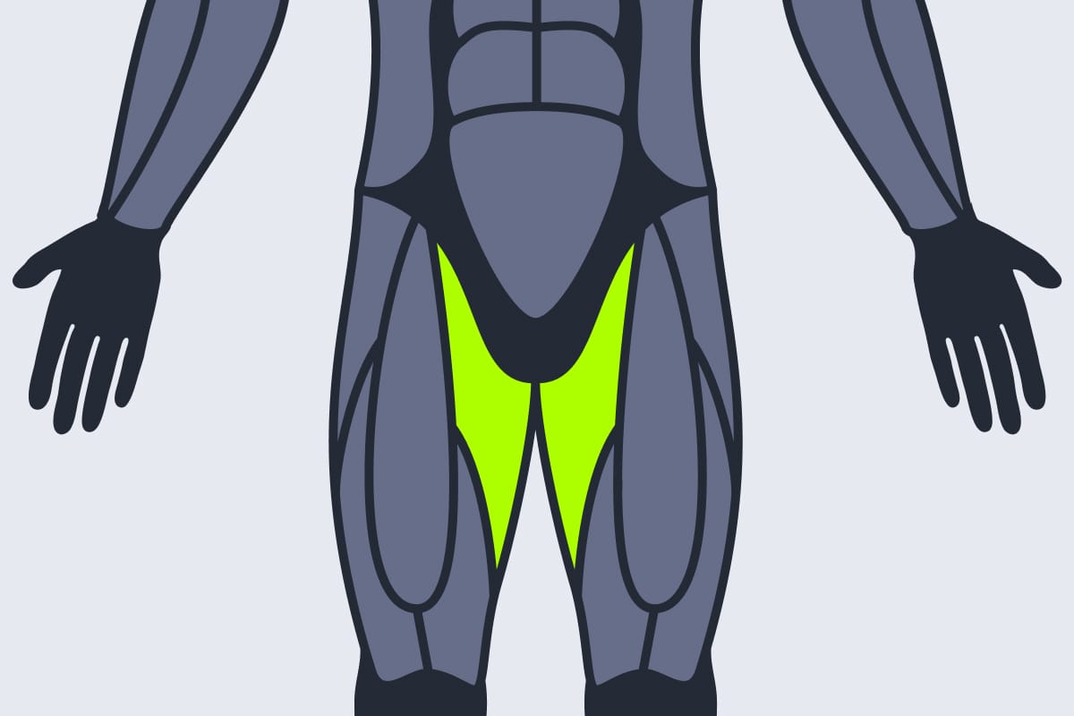 Adductors