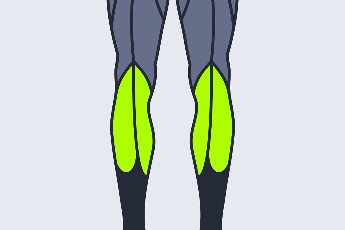 Calves