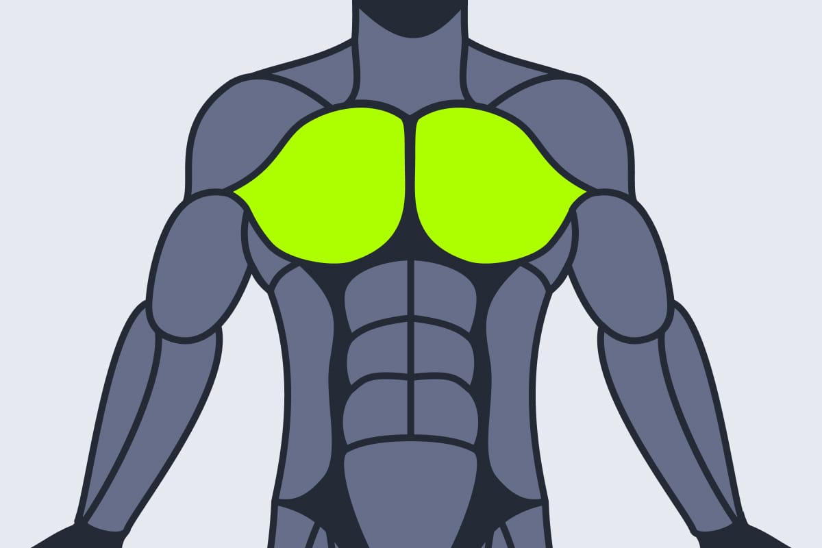 Chest