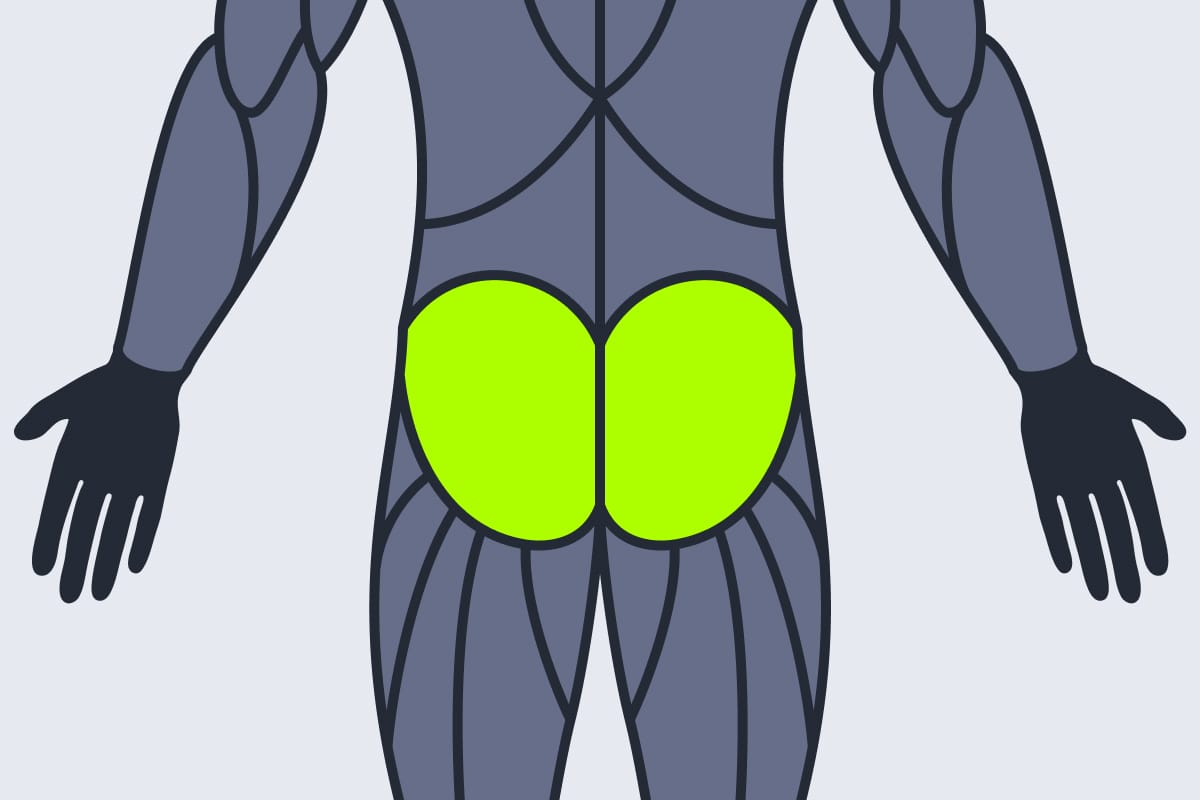 Glutes