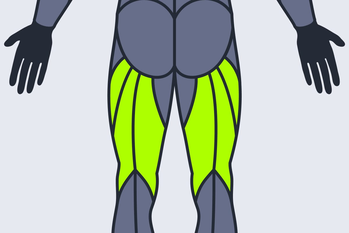 Hamstrings