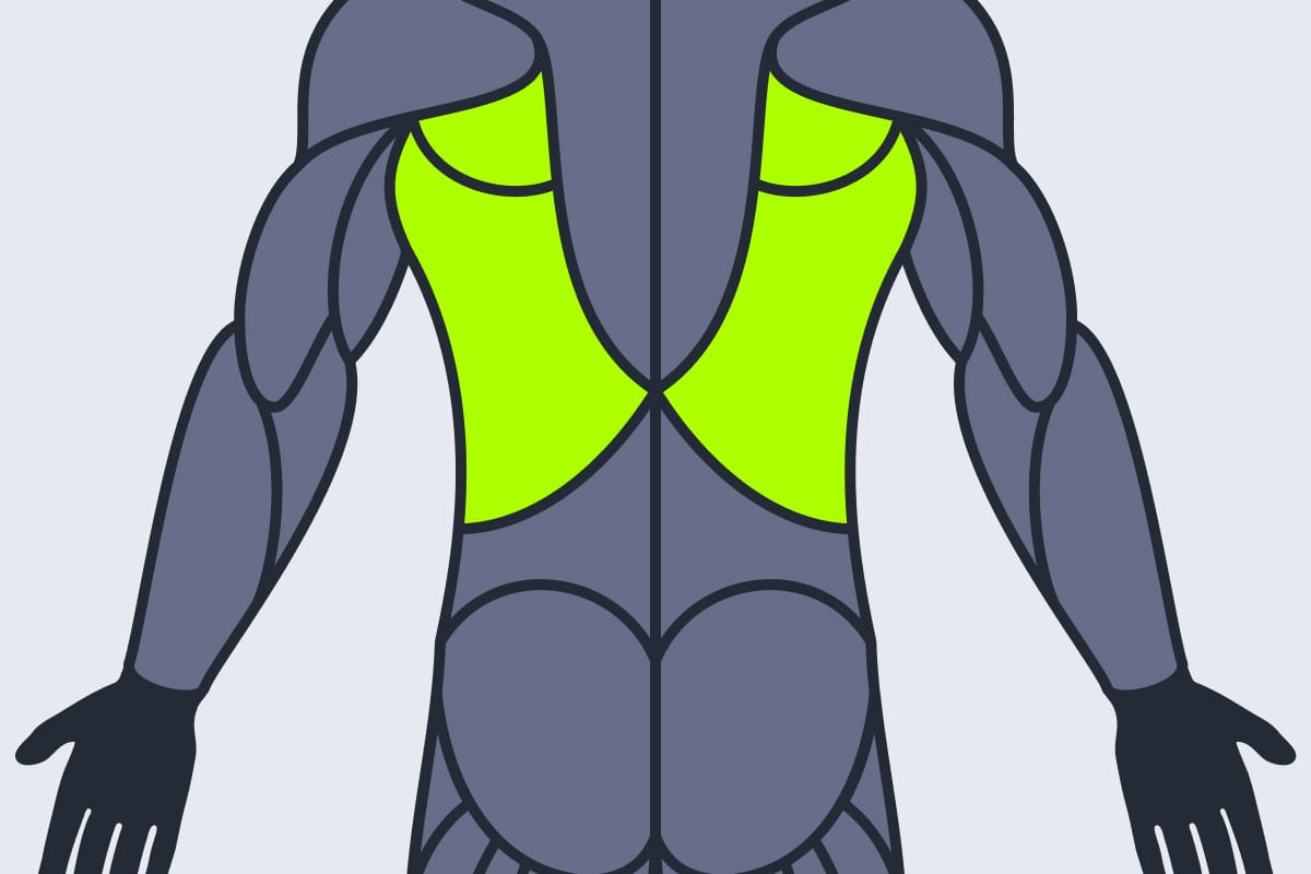 Lats