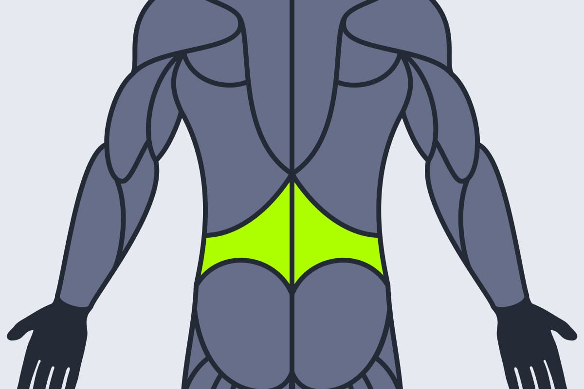 Lower Back