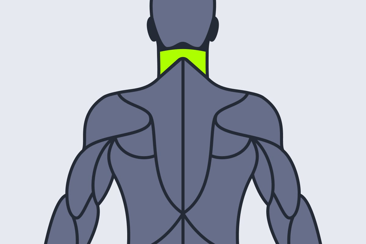 Neck