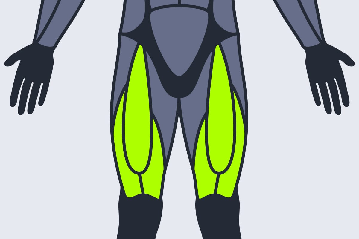 Quadriceps