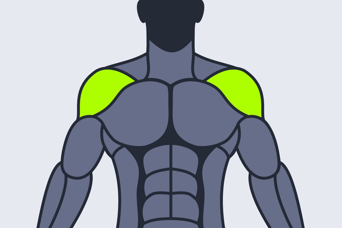 Shoulders