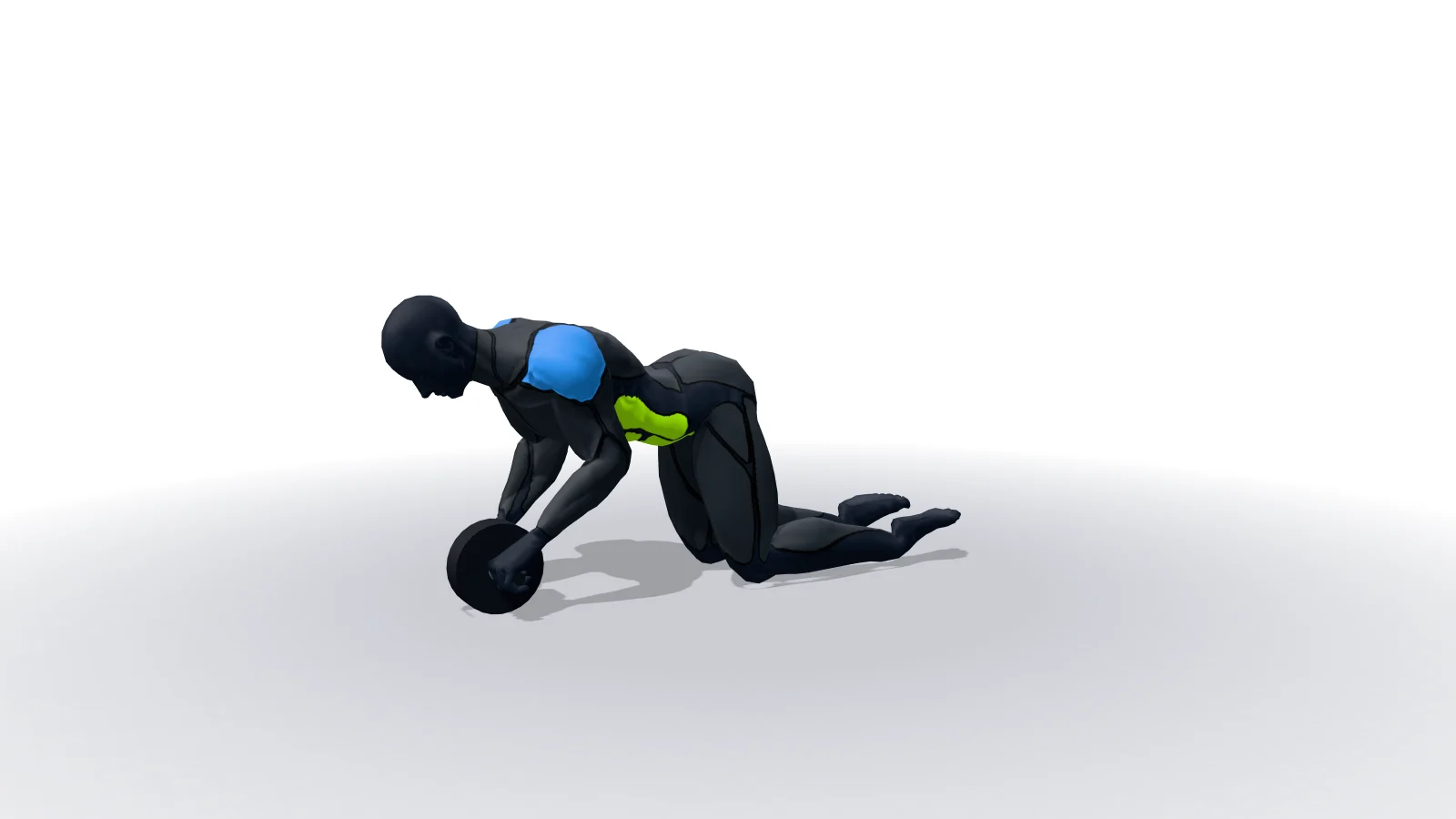 3D 모델로 보는 Ab Wheel Rollout