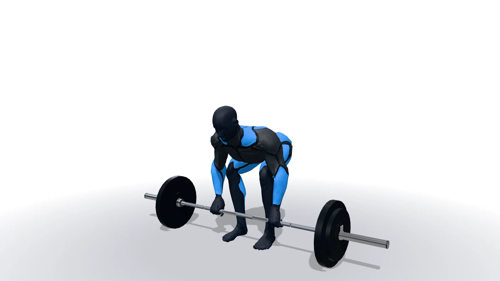 Barbell Deadlift, mostrato da una figura 3D