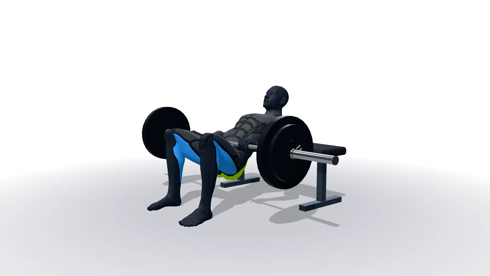 Barbell Hip Thrust, mostrato da una figura 3D