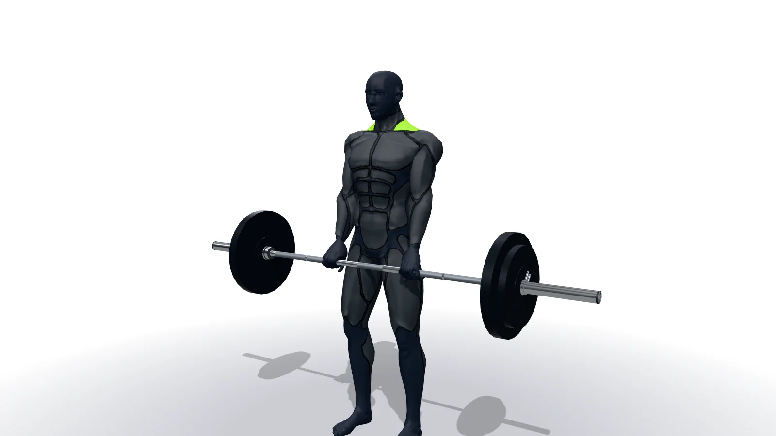 Barbell Shrug w wykonaniu postaci 3D