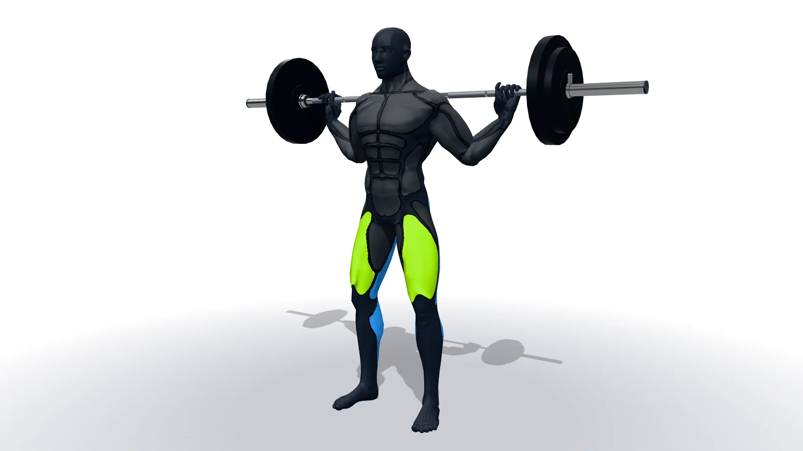Barbell Squat, mostrato da una figura 3D