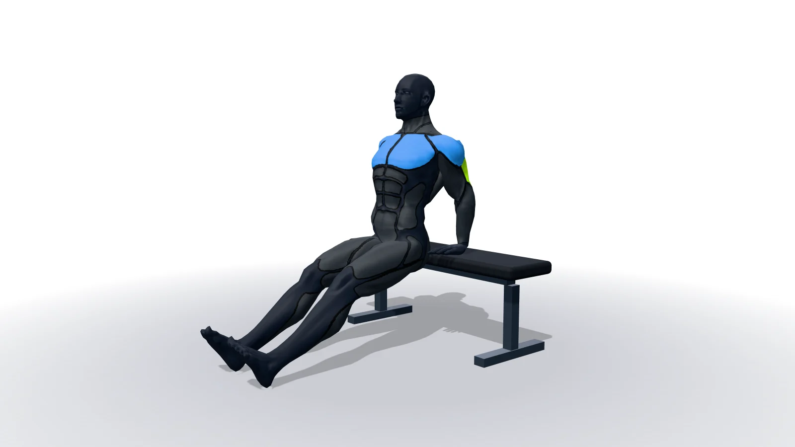 Bench Dips, mostrato da una figura 3D