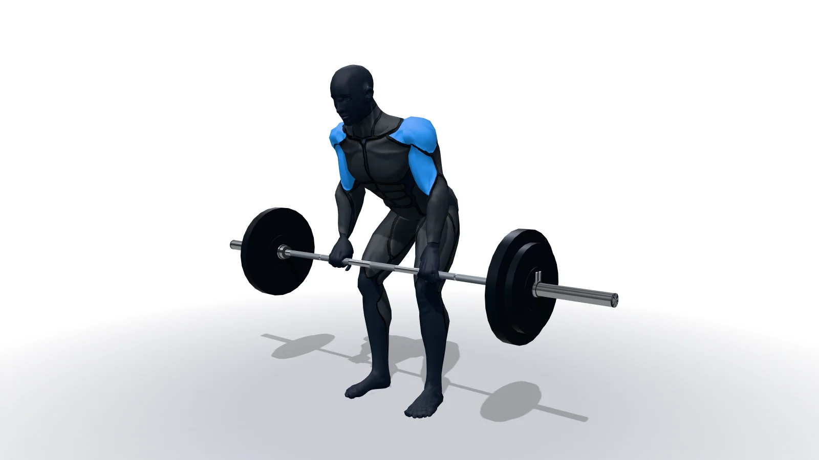 Bent Over Barbell Row, mostrato da una figura 3D