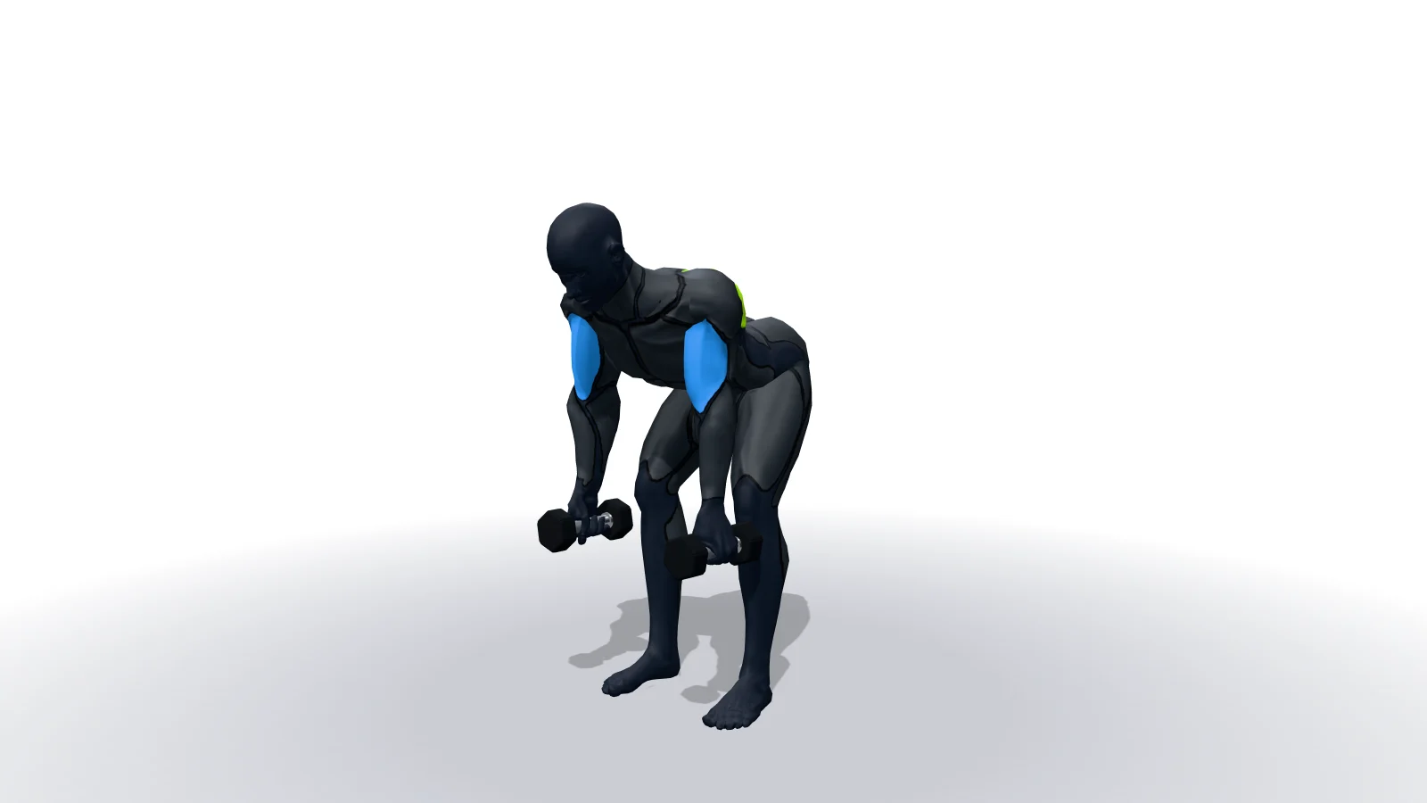 Bent Over Two-Dumbbell Row With Palms In, mostrato da una figura 3D