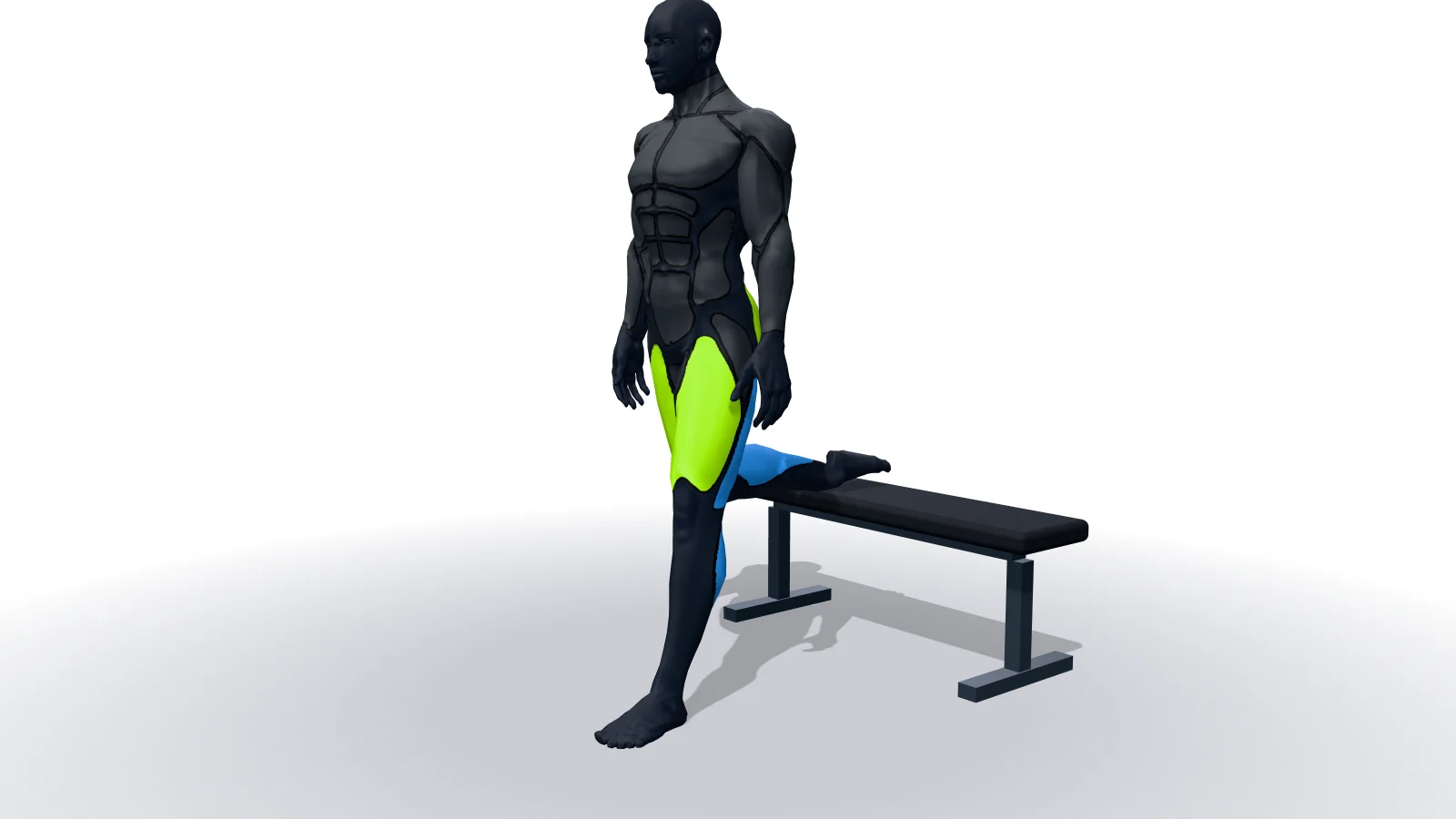 Bulgarian Split Squat, 3D bir figürle gösteriliyor