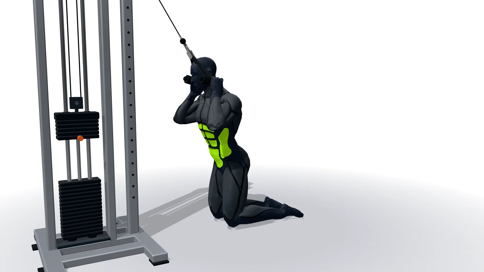 Cable Crunch w wykonaniu postaci 3D