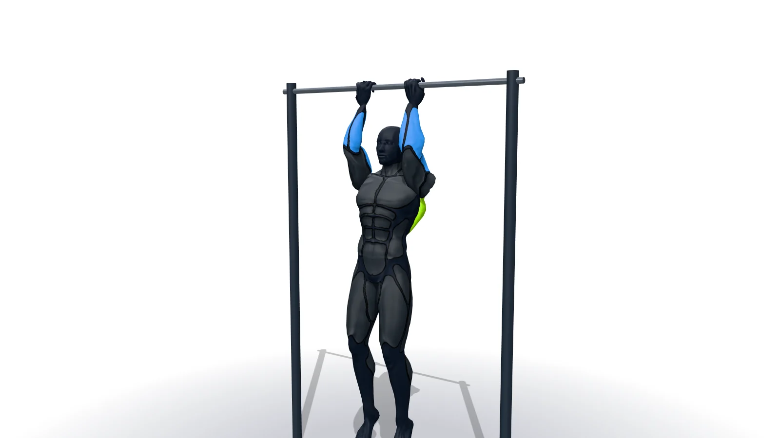 Chin-Up, mostrato da una figura 3D