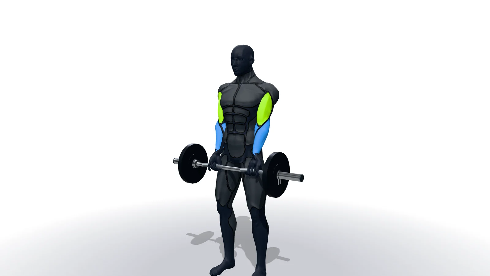 Close-Grip EZ Bar Curl, 3D bir figürle gösteriliyor