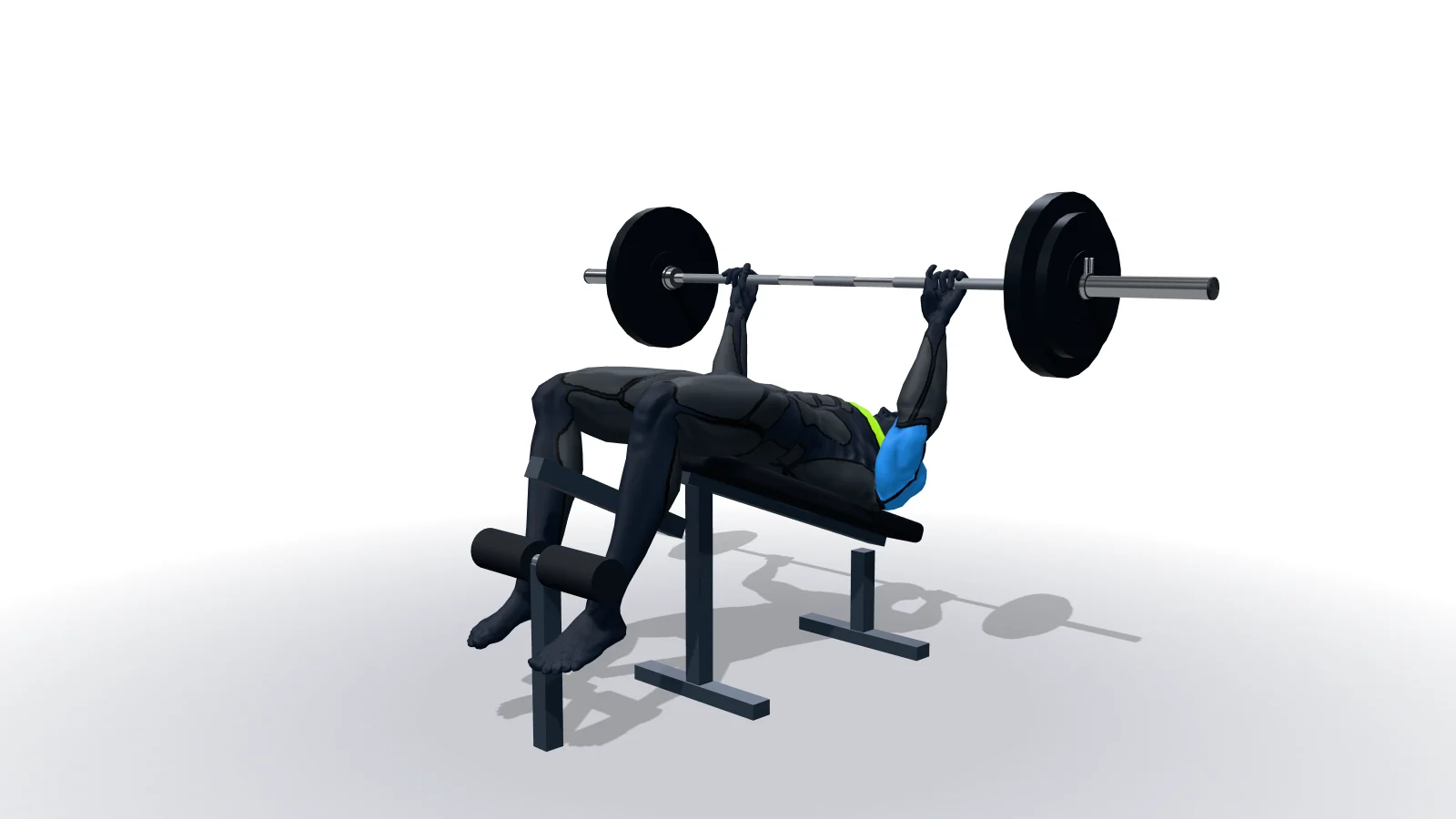 Decline Barbell Bench Press（3Dモデルによる実演）