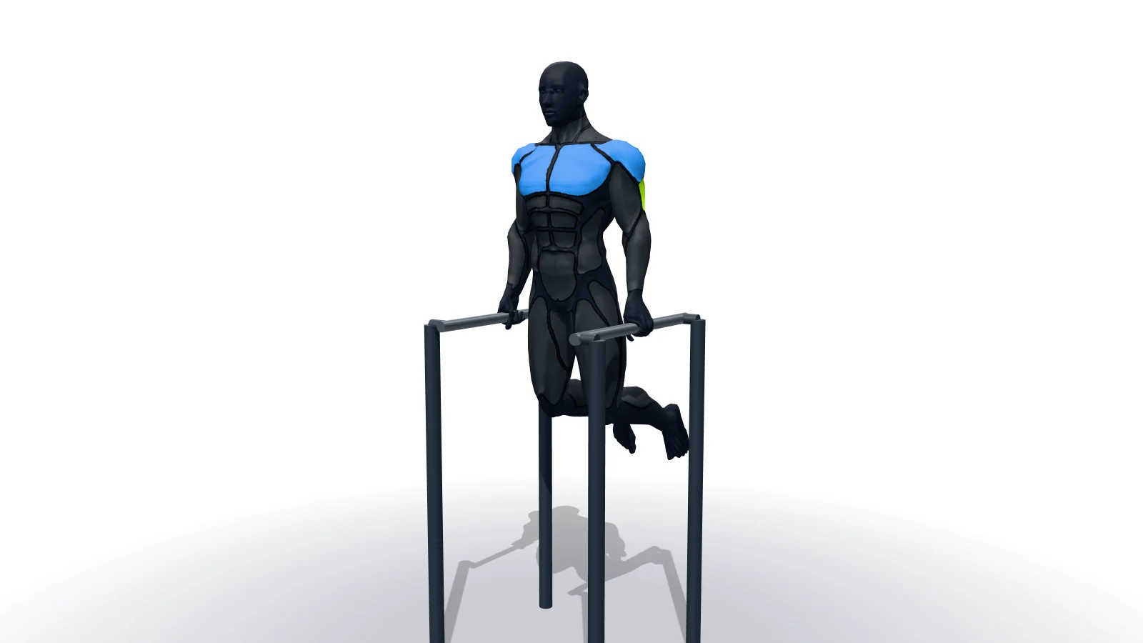 Dips - Triceps Version, mostrato da una figura 3D