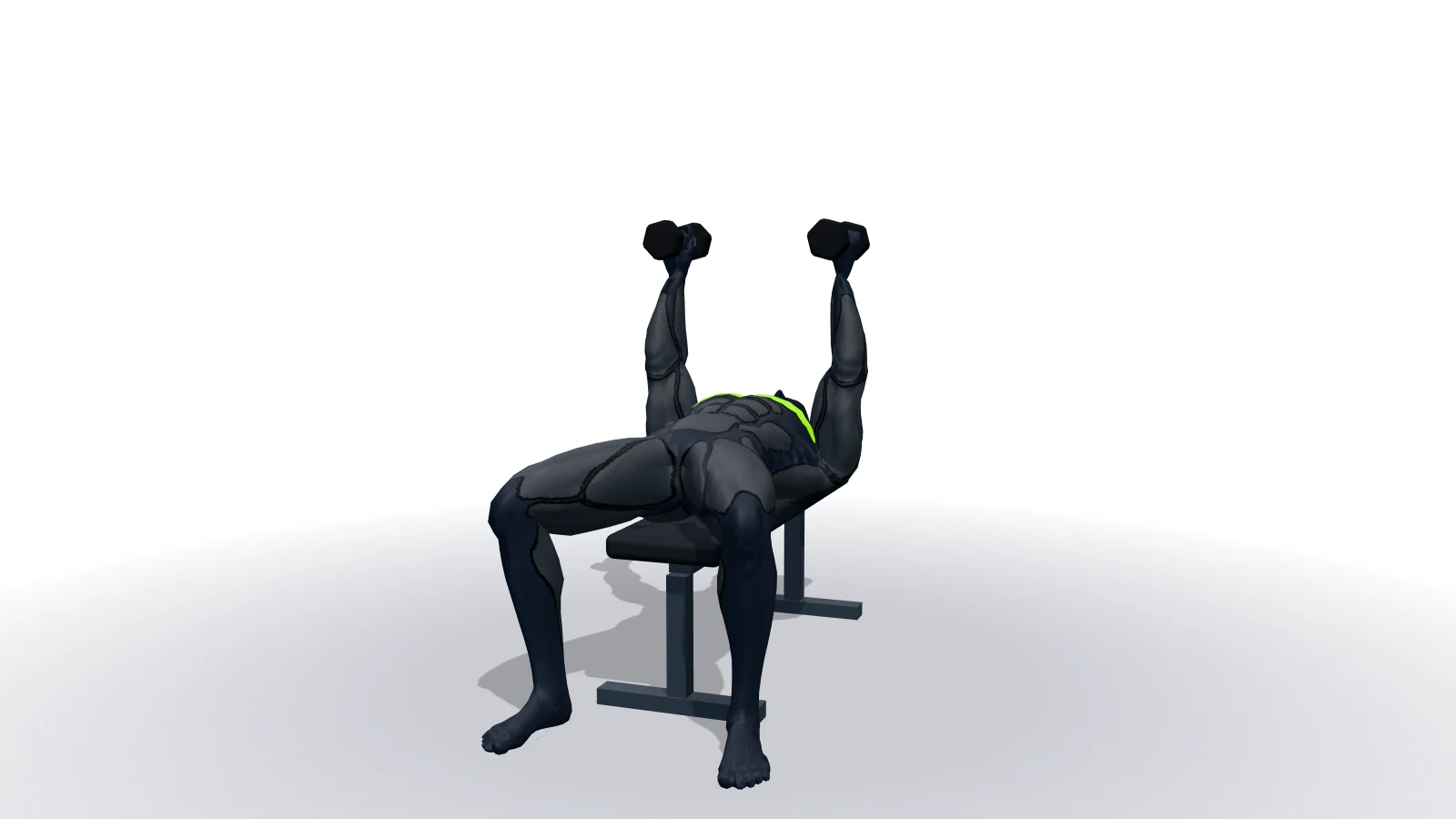 Dumbbell Flyes, mostrato da una figura 3D