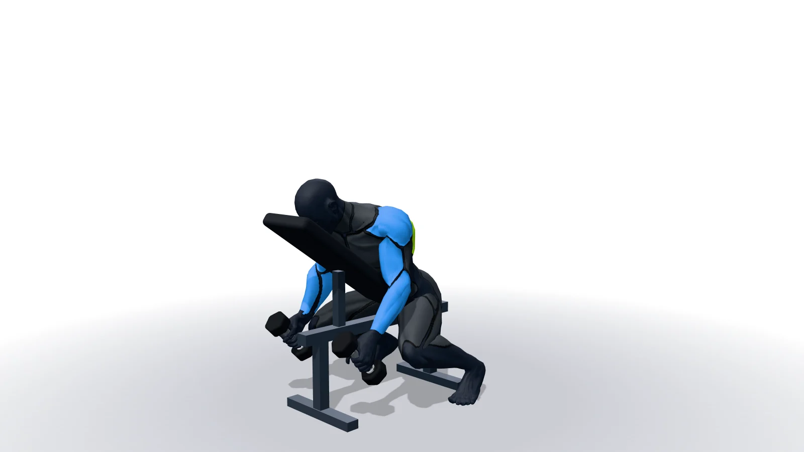 Dumbbell Incline Row, mostrato da una figura 3D