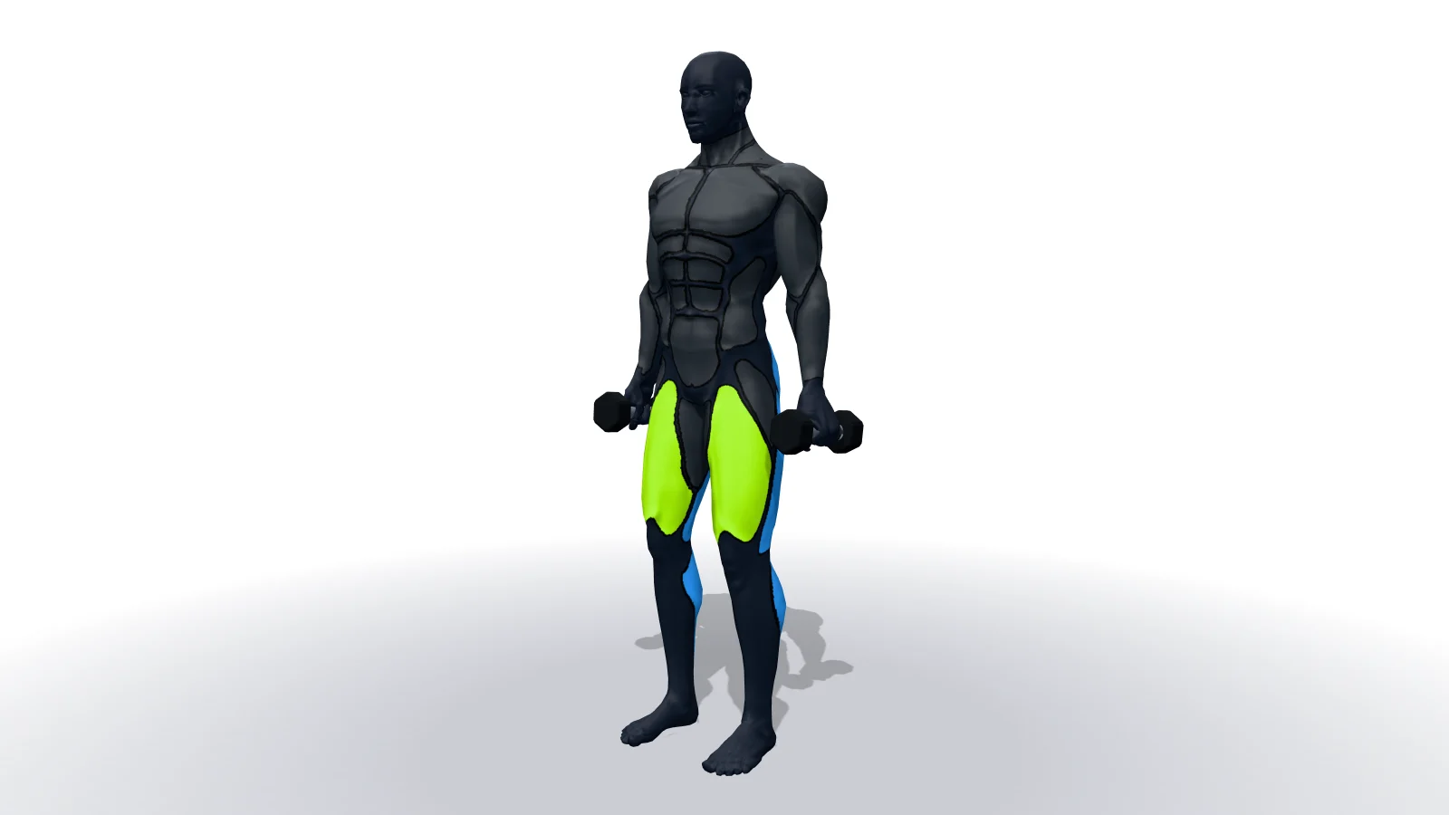 Dumbbell Lunges, mostrato da una figura 3D