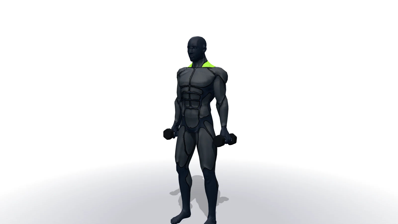 Dumbbell Shrug, mostrato da una figura 3D