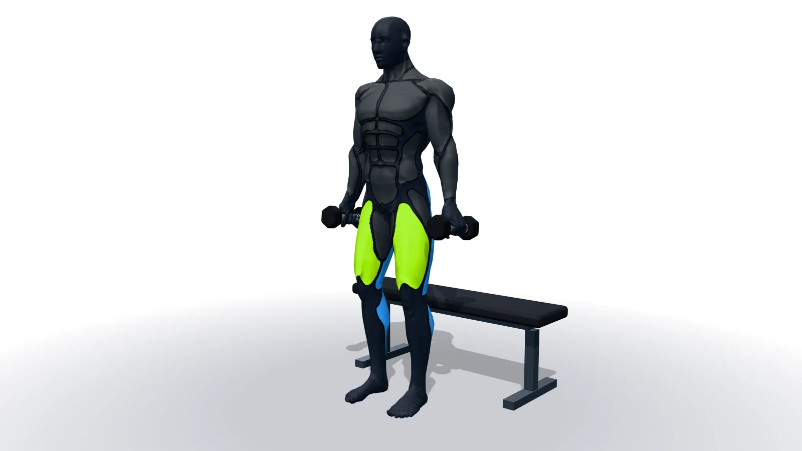 Dumbbell Squat To A Bench, mostrato da una figura 3D