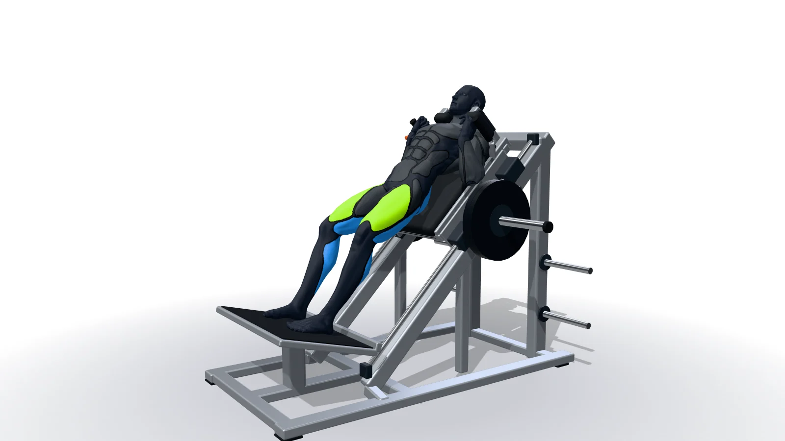 Hack Squat, shown by a 3D figure