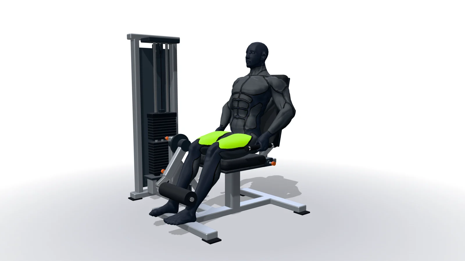 Leg Extensions, shown by a 3D figure