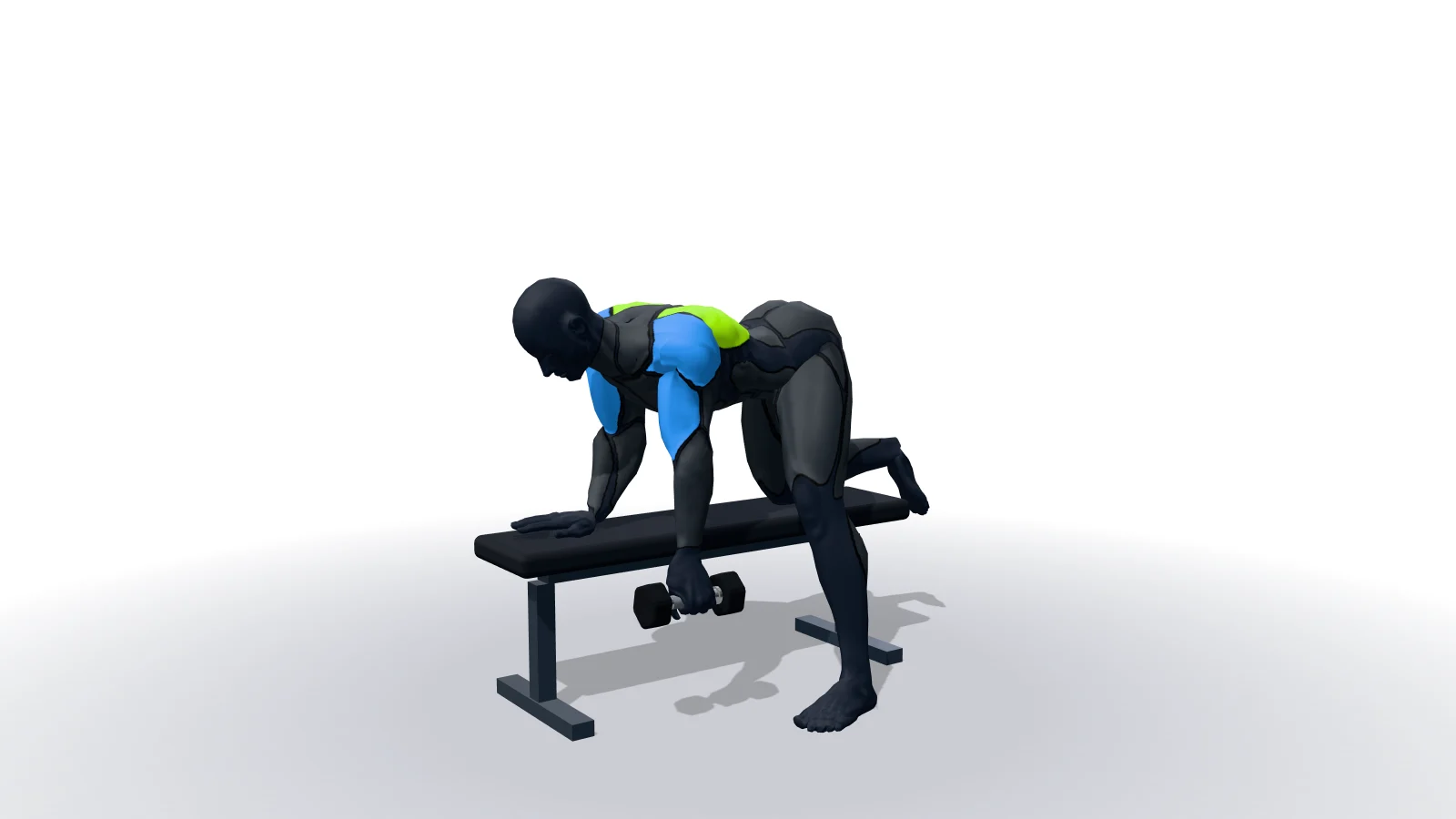 3D 모델로 보는 One-Arm Dumbbell Row