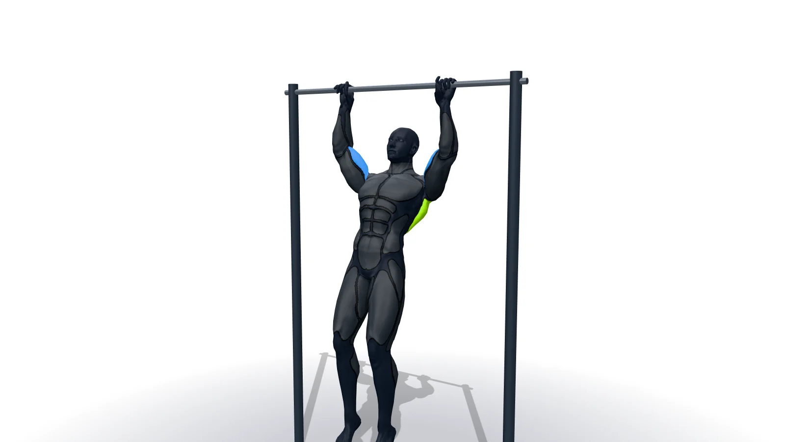 Pullups, mostrato da una figura 3D