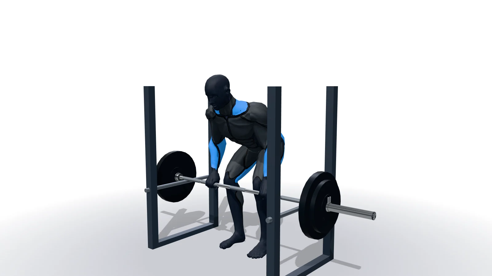 Rack Pulls, mostrato da una figura 3D