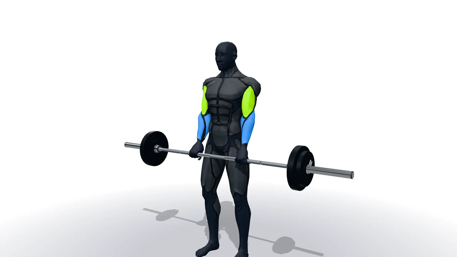 Reverse Barbell Curl, mostrato da una figura 3D