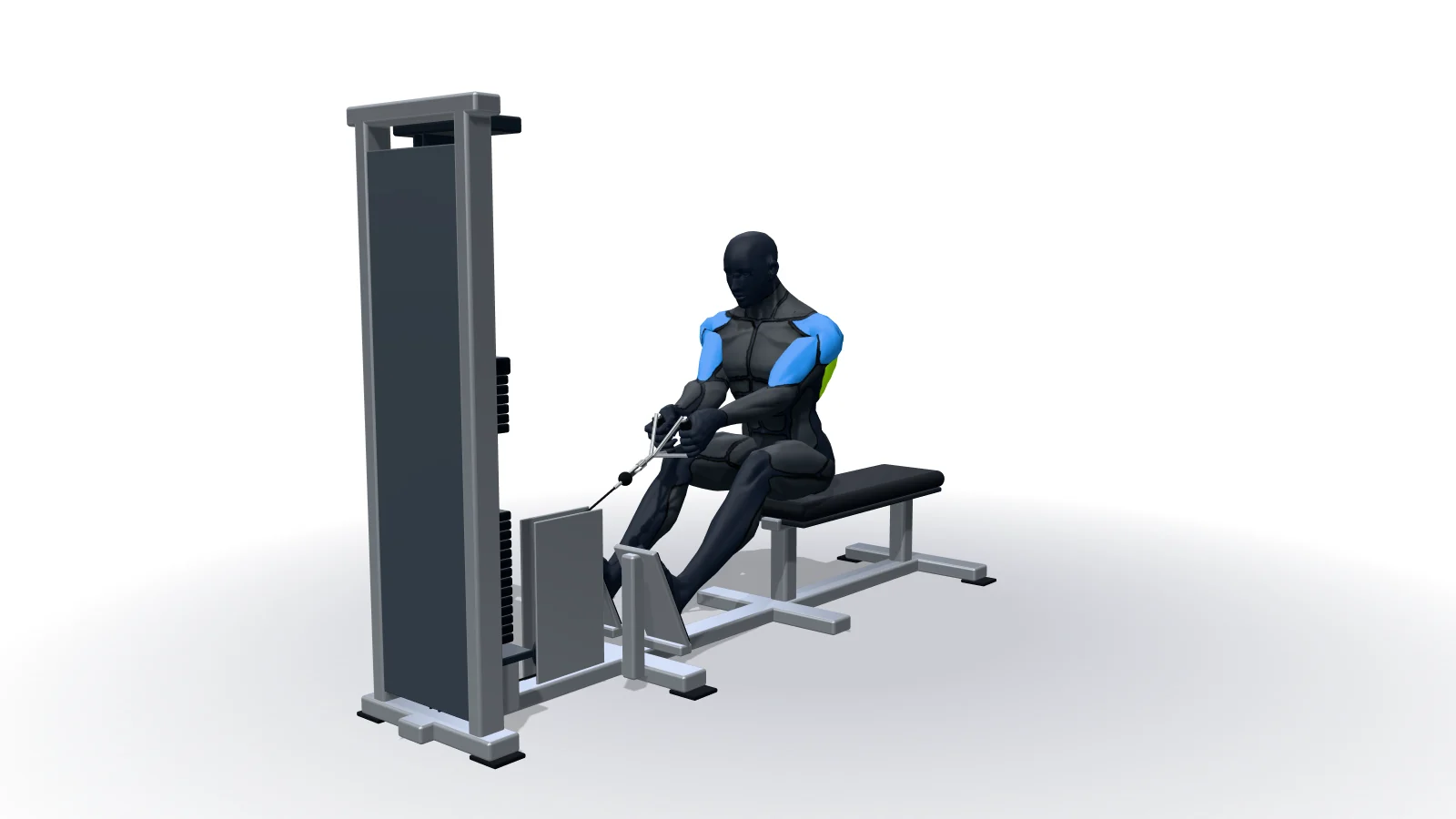 Seated Cable Rows, shown by a 3D figure