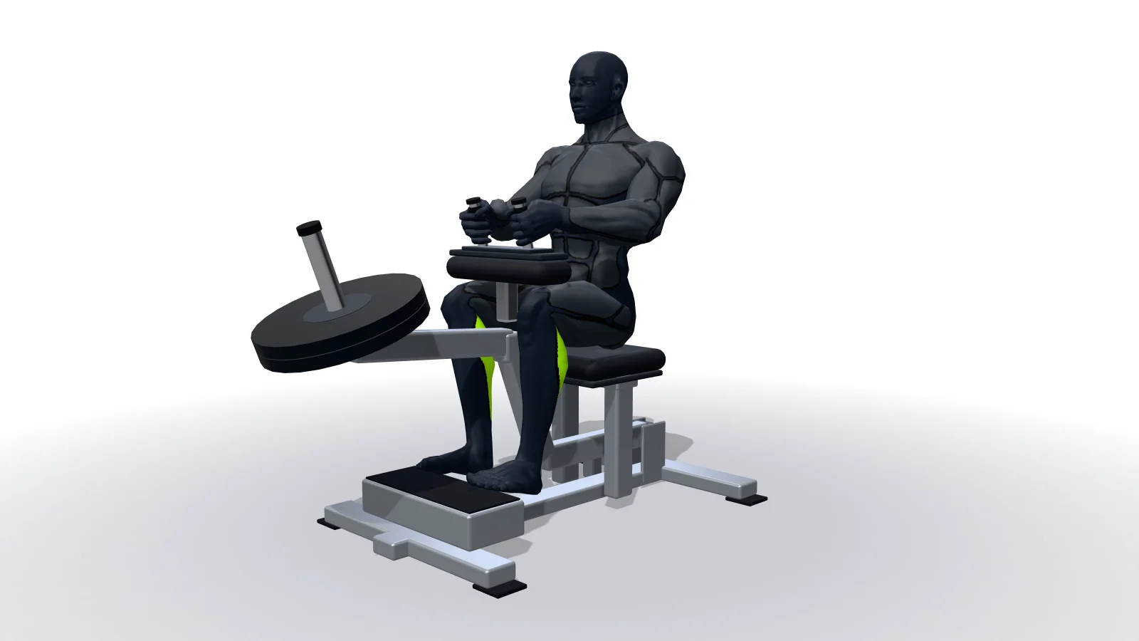 Seated Calf Raise, mostrato da una figura 3D