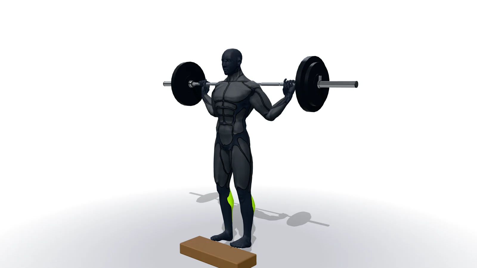 Standing Barbell Calf Raise, 3D bir figürle gösteriliyor