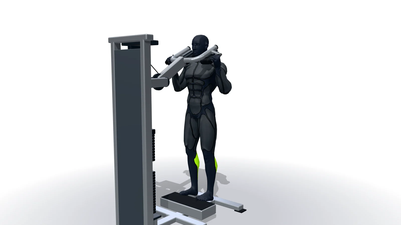 Standing Calf Raises, mostrato da una figura 3D