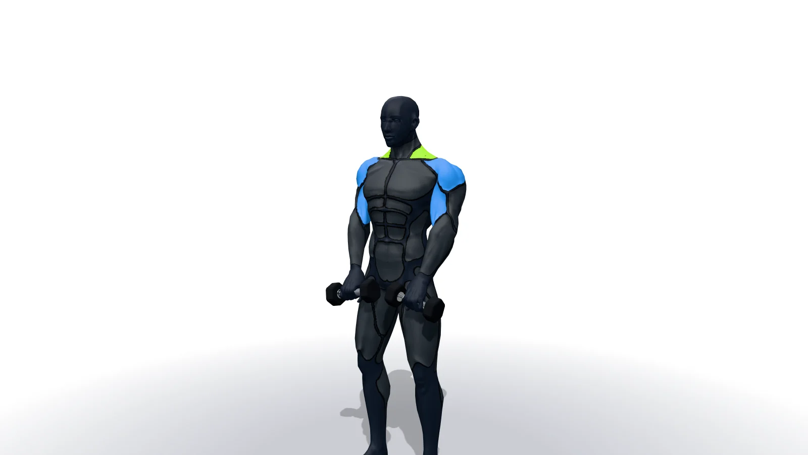 Standing Dumbbell Upright Row, mostrato da una figura 3D