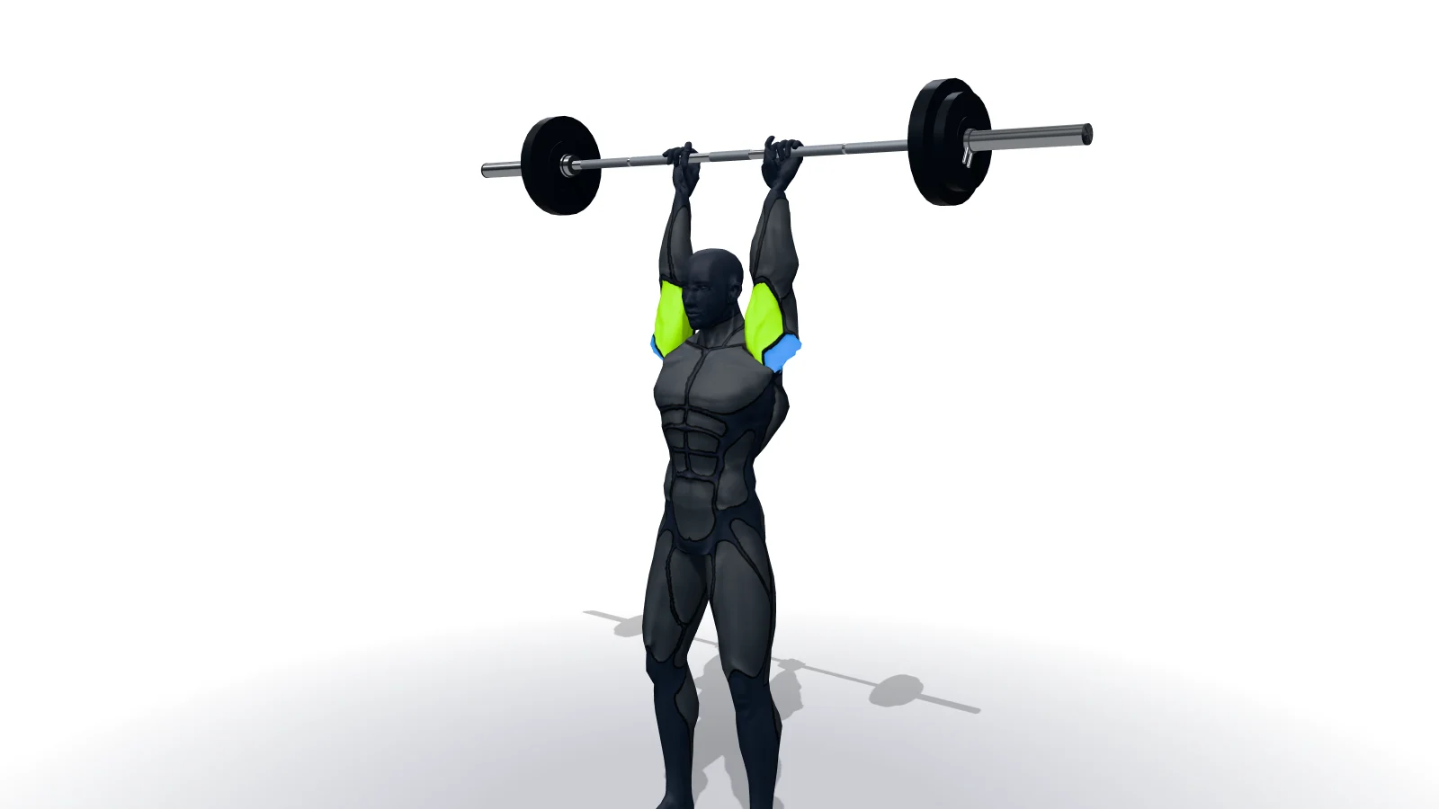 Standing Overhead Barbell Triceps Extension, mostrato da una figura 3D