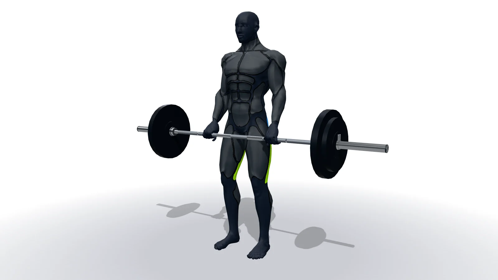 Stiff-Legged Barbell Deadlift, mostrato da una figura 3D