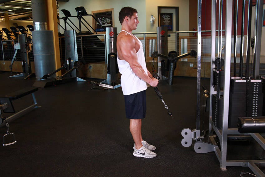 Cable Hammer Curls - Rope Attachment - Step 0