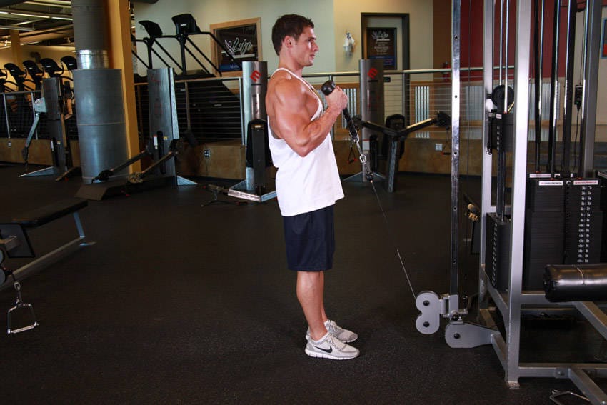Cable Hammer Curls - Rope Attachment - Step 1