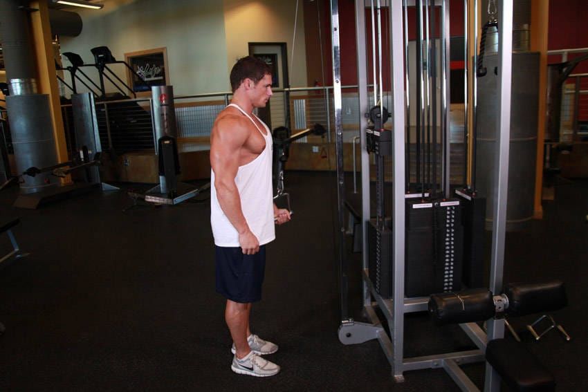 Cable One Arm Tricep Extension - Step 0