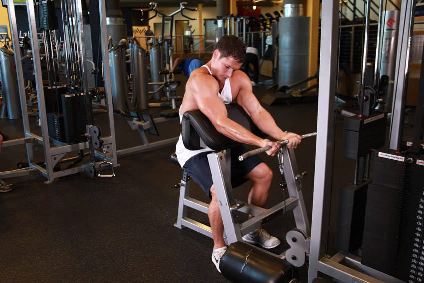 Cable Preacher Curl - Step 0