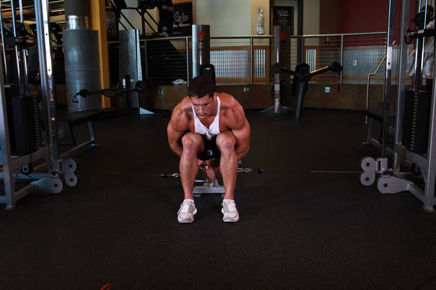 Cable Seated Lateral Raise - Step 0