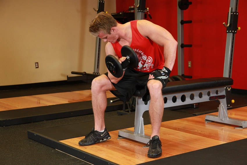 Concentration Curls - Step 1