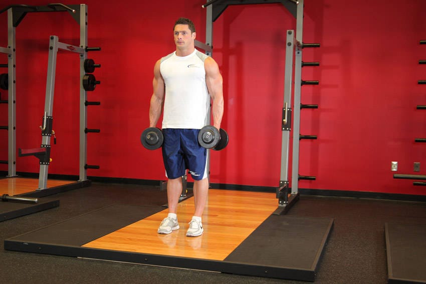 Dumbbell Bicep Curl - Step 0